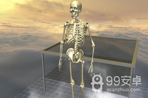 3D骨骼拆解