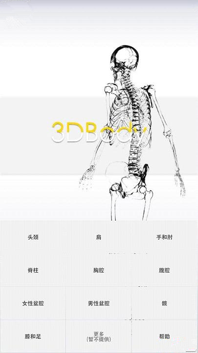 3Dbody解剖