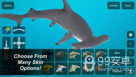 模型鲨鱼