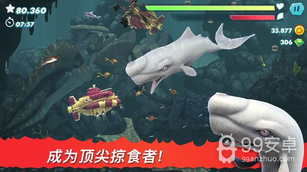 饥饿鲨进化999999钻版