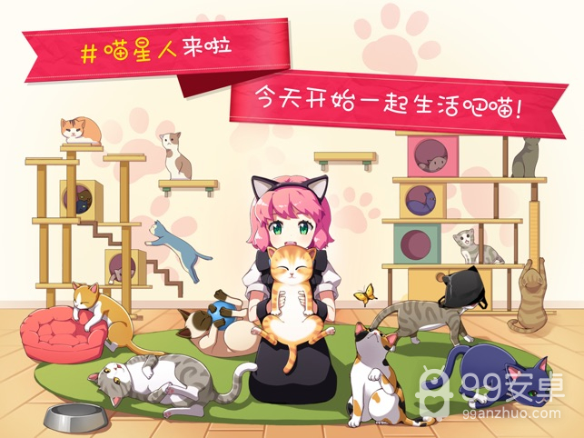 猫猫咖啡屋正式版