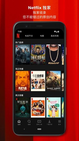 netflix永久vip破解版