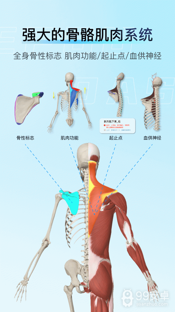 解剖大师