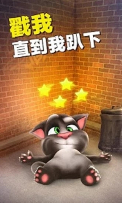 会说话的汤姆猫中文版