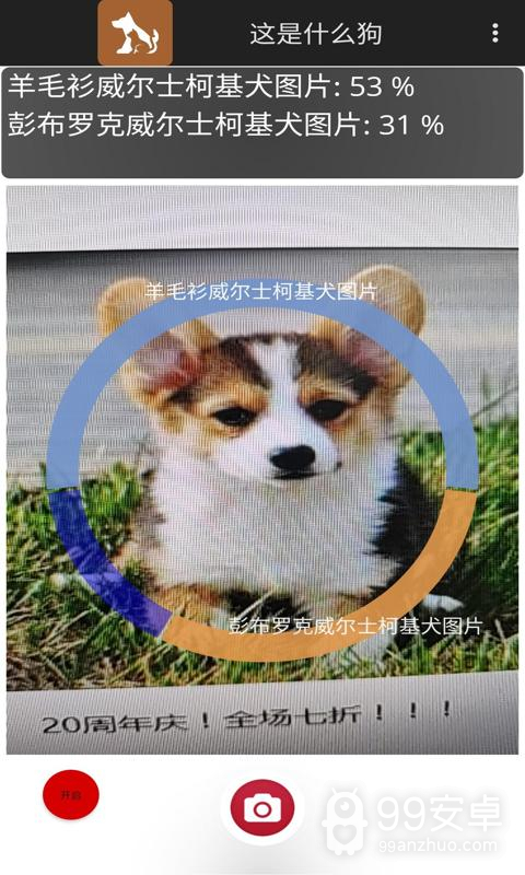 这是什么狗