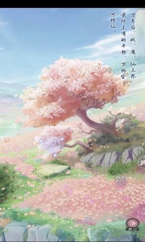 明月花舞录