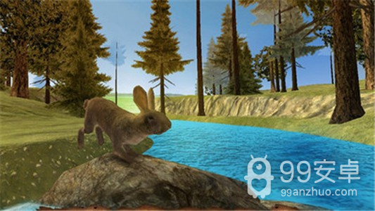 兔子模拟器3D