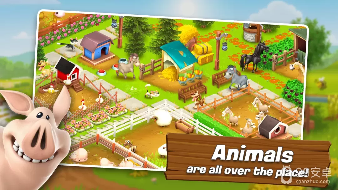 Hay Day