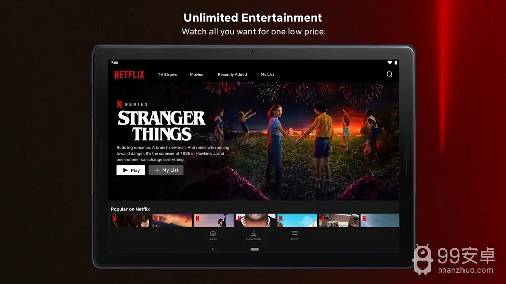 网飞netflix中文版