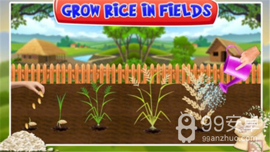 水稻种植工厂