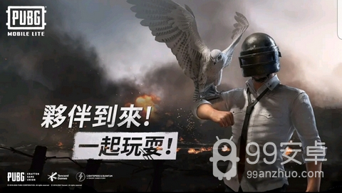 pubg国际服轻量版