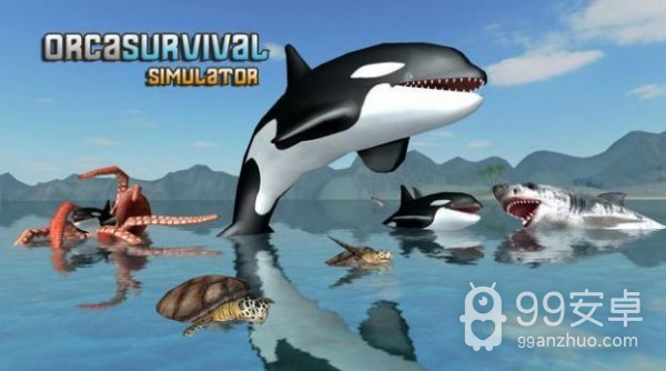 虎鲸生存模拟器