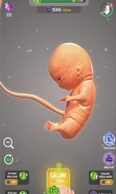 怀胎模拟器