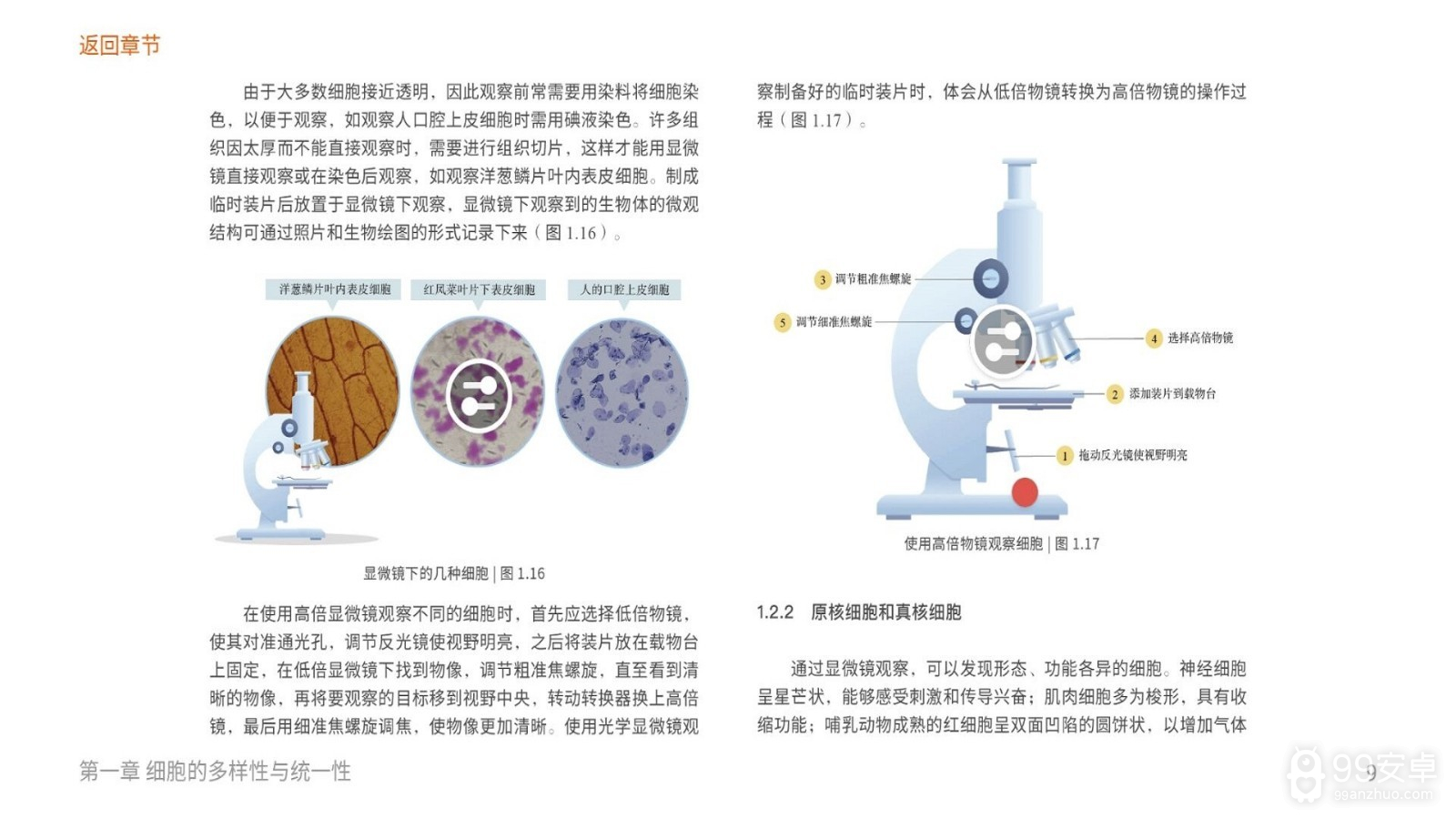 分子与细胞